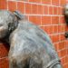 two sculptures of people against a brick wall, listening